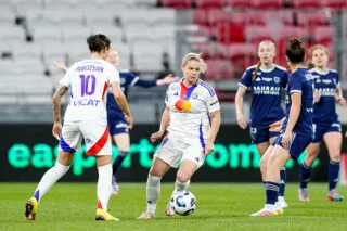 Près d'une centaine de chiens ont assisté à OL-Paris FC au Groupama Stadium